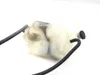 Engine Radiator Overflow Tank 2006 Suzuki Boulevard C50 2983A