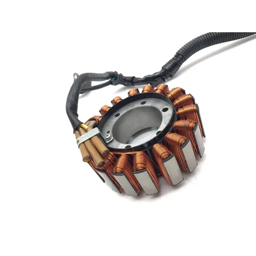 Engine Stator Generator 2019 Honda Pioneer 1000-5 SXS1000M5 Deluxe 2994A 7