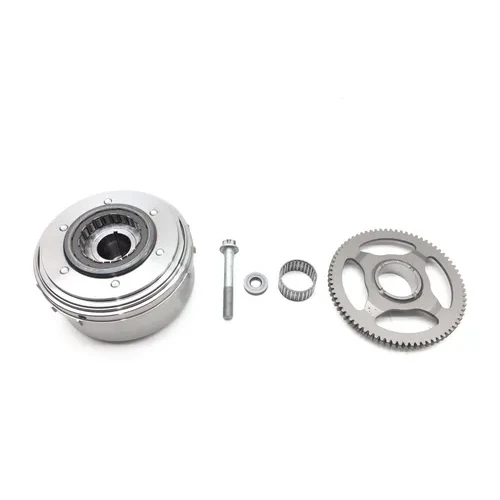 Engine Flywheel W Starter Clutch 2019 Honda Pioneer 1000-5 SXS1000M5 2994A 3