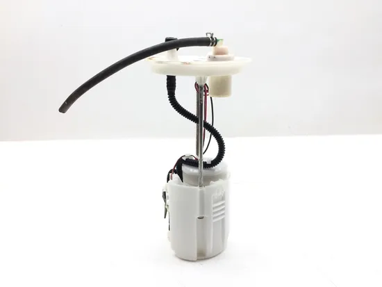 Gas Fuel Tank Pump 2019 Honda Pioneer 1000-5 SXS1000M5 Deluxe 2994A