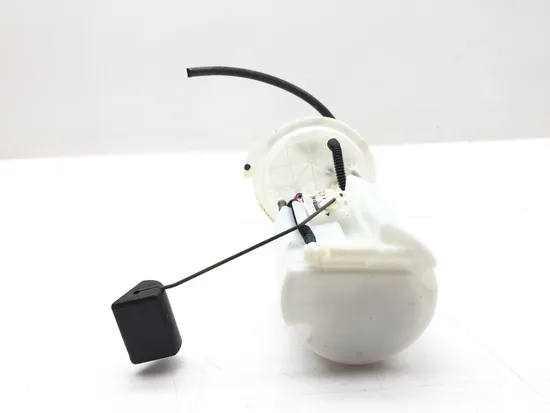 Gas Fuel Tank Pump 2019 Honda Pioneer 1000-5 SXS1000M5 Deluxe 2994A