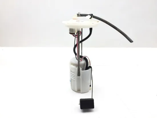 Gas Fuel Tank Pump 2019 Honda Pioneer 1000-5 SXS1000M5 Deluxe 2994A