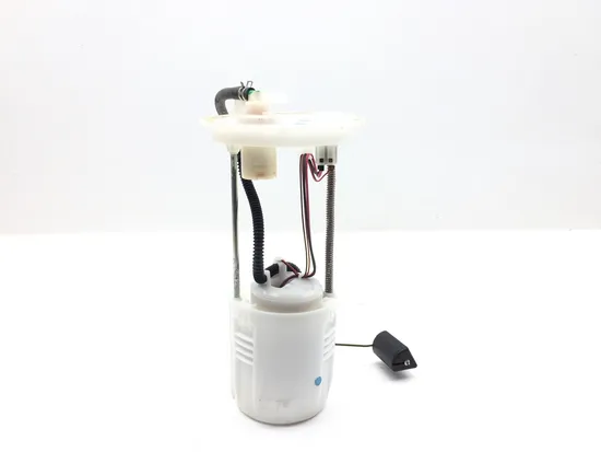 Gas Fuel Tank Pump 2019 Honda Pioneer 1000-5 SXS1000M5 Deluxe 2994A