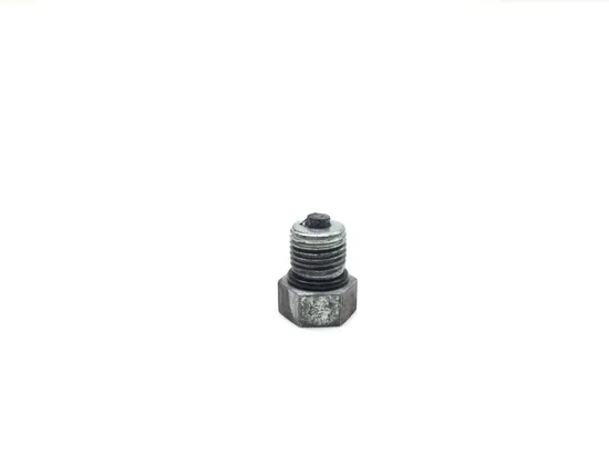 Engine Oil Drain Plug Bolt 2007 Harley-Davidson Softail Standard FXST 2990A 1
