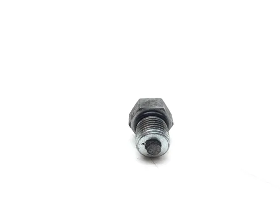 Engine Oil Drain Plug Bolt 2007 Harley-Davidson Softail Standard FXST 2990A 2