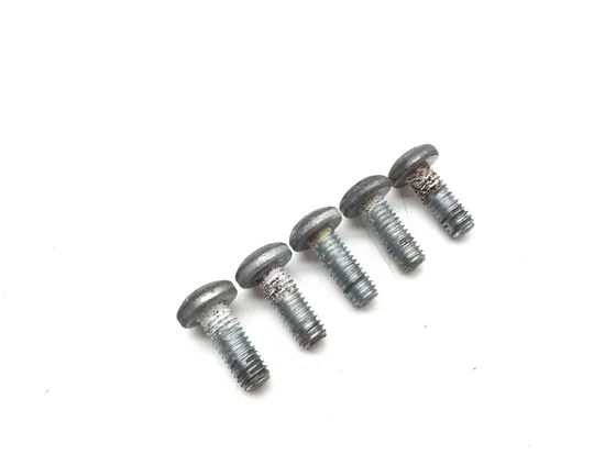 Rear Brake Rotor Disc Bolts 2007 Harley-Davidson Softail Standard FXST 2990A 1