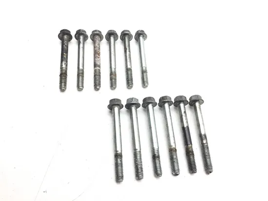 Engine Left Right Center Case Bolts 2007 Harley Softail Standard FXST 2990A