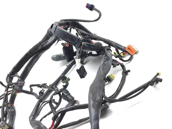 Main Engine Wiring Harness 2007 Harley-Davidson Softail Standard FXST 2990A