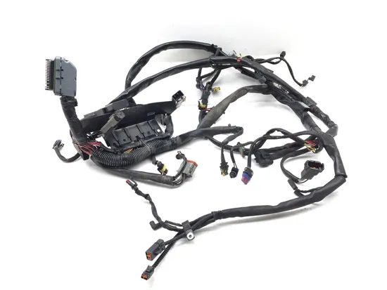 Main Engine Wiring Harness 2007 Harley-Davidson Softail Standard FXST 2990A