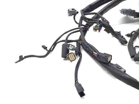Main Engine Wiring Harness 2007 Harley-Davidson Softail Standard FXST 2990A