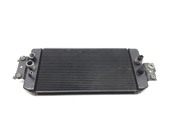 Engine Radiator Cooling 2008 Suzuki Boulevard C50 2982A