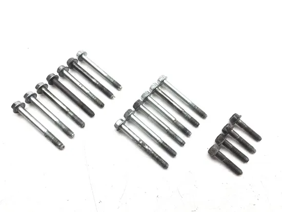 Engine Left Right Center Case Bolts 2008 HarleySportster 1200 Custom 2967A