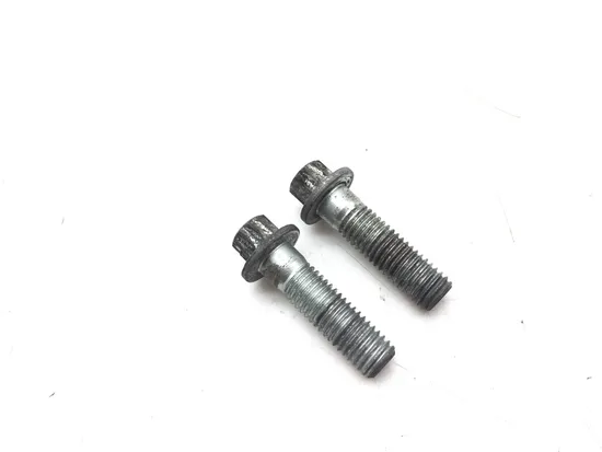 Front Brake Caliper Mounting Bolts 2008 HarleySportster 1200 Custom 2967A