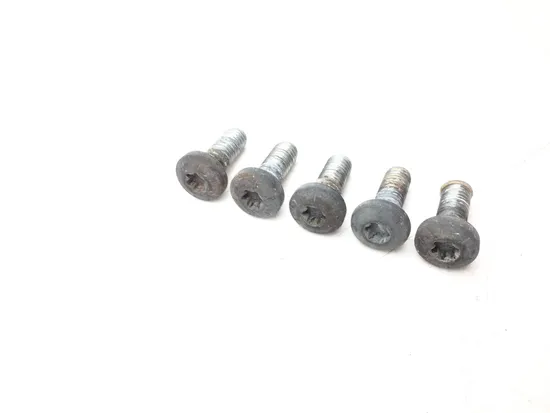 Rear Brake Rotor Disc Bolts 2008 HarleySportster 1200 Custom XL1200C 2967A