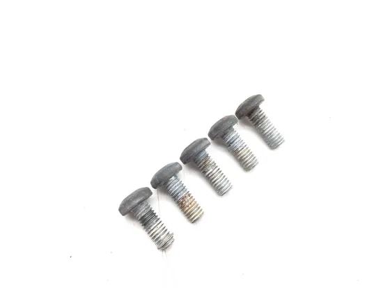 Rear Brake Rotor Disc Bolts 2008 HarleySportster 1200 Custom XL1200C 2967A