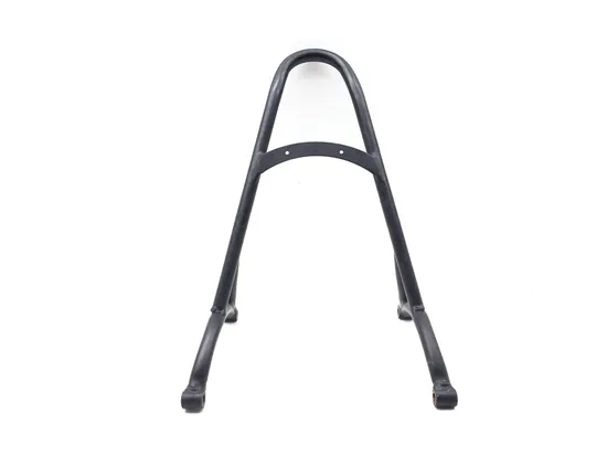 Sissy Bar 2008 Harley-Davidson Sportster 1200 Custom XL1200C 2967A