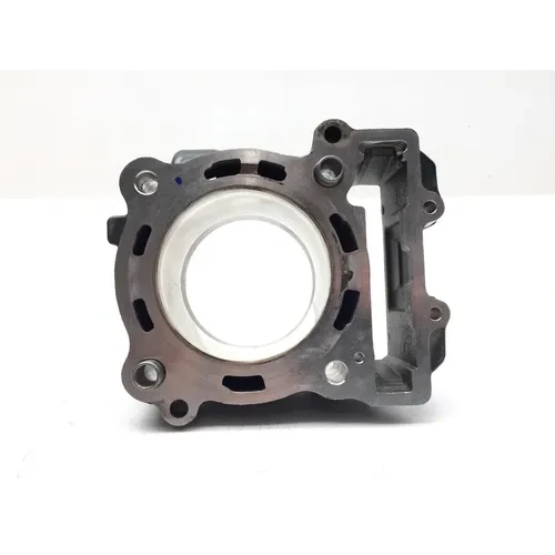 Engine Cylinder Jug W Piston 2017 KTM 390 Duke 2996A 17