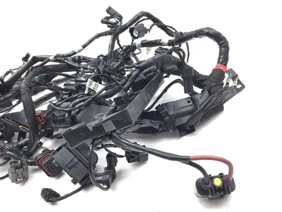 Main Engine Wiring Harness 2018 Triumph Street Triple 765 R ABS 2997A