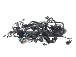 Main Engine Wiring Harness 2018 Triumph Street Triple 765 R ABS 2997A