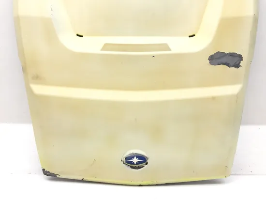 Hood 2018 Polaris RZR XP 1000 EPS 2936A x