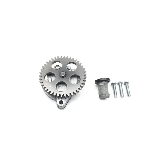 Engine Oil Pump Assembly 2006 Kawasaki KLR650 3002A 3