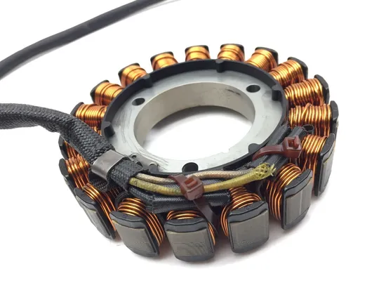 Engine Stator Generator 2005 Suzuki Eiger 400 LTF400F 4x4 Manual 3018A