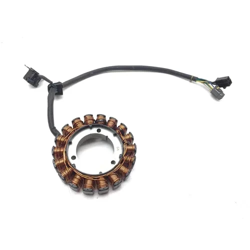 Engine Stator Generator 2005 Suzuki Eiger 400 LTF400F 4x4 Manual 3018A 3