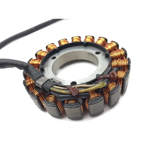 Engine Stator Generator 2005 Suzuki Eiger 400 LTF400F 4x4 Manual 3018A 14