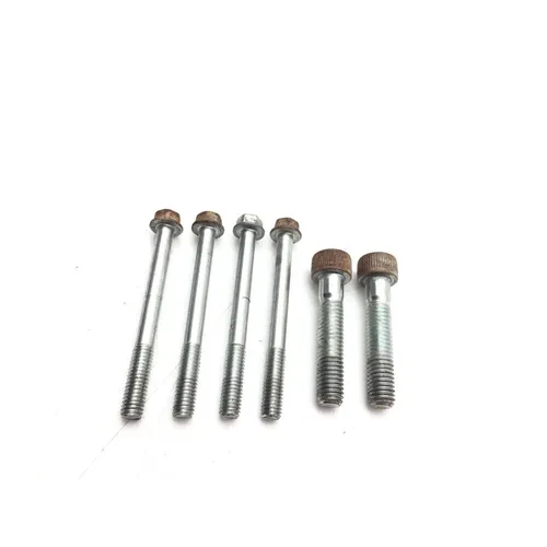 Engine Center Cases Case Bolts 2007 Yamaha Grizzly 700 YFM700FGPOH 4x4 2969A 5