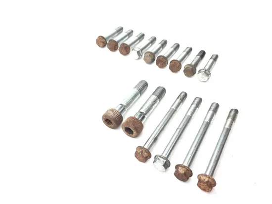 Engine Center Cases Case Bolts 2007 Yamaha Grizzly 700 YFM700FGPOH 4x4 2969A