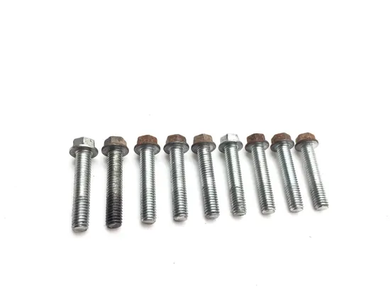 Engine Center Cases Case Bolts 2007 Yamaha Grizzly 700 YFM700FGPOH 4x4 2969A