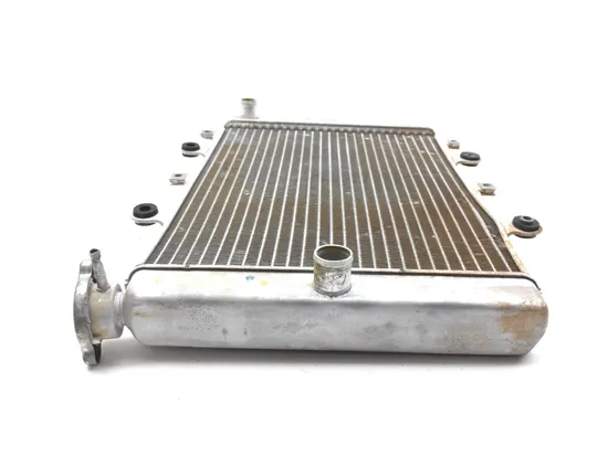 Engine Radiator Cooling 2007 Yamaha Grizzly 700 YFM700FGPOH 4x4 2969A x