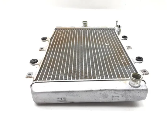 Engine Radiator Cooling 2007 Yamaha Grizzly 700 YFM700FGPOH 4x4 2969A x