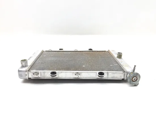 Engine Radiator Cooling 2007 Yamaha Grizzly 700 YFM700FGPOH 4x4 2969A x