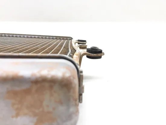 Engine Radiator Cooling 2007 Yamaha Grizzly 700 YFM700FGPOH 4x4 2969A x