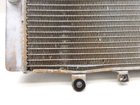 Engine Radiator Cooling 2007 Yamaha Grizzly 700 YFM700FGPOH 4x4 2969A x