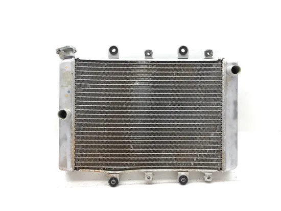 Engine Radiator Cooling 2007 Yamaha Grizzly 700 YFM700FGPOH 4x4 2969A x