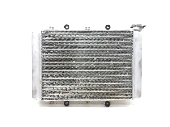Engine Radiator Cooling 2007 Yamaha Grizzly 700 YFM700FGPOH 4x4 2969A x