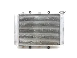 Engine Radiator Cooling 2007 Yamaha Grizzly 700 YFM700FGPOH 4x4 2969A x
