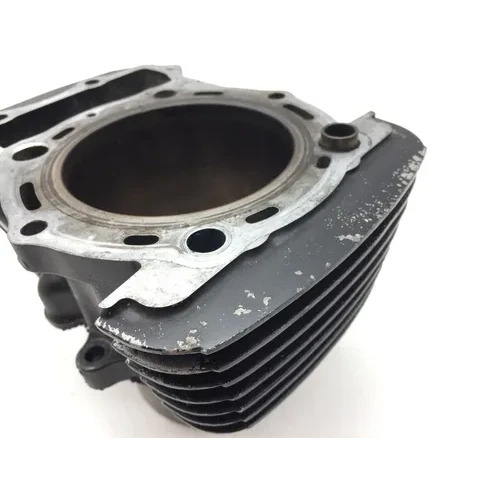 Engine Cylinder Jug W Piston Rear 2005 Kawasaki Vulcan 1500 Classic 2961A x 17
