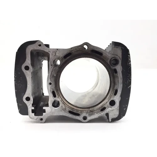 Engine Cylinder Jug W Piston Rear 2005 Kawasaki Vulcan 1500 Classic 2961A x 19