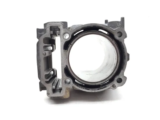 Engine Cylinder Jug W Piston Front 2015 Can-Am Maverick 1000R XMR DPS 2941A x