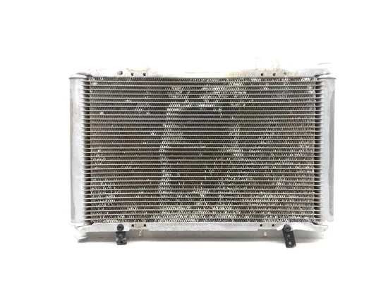 Engine Radiator Cooling 2015 Can-Am Maverick 1000R 4x4 XMR DPS 2941A x