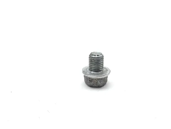Engine Oil Drain Plug Bolt 2006 Honda Sportrax 300 TRX 300EX 2x4 3017A 1