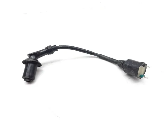 Ignition Coil 2006 Honda Sportrax 300 TRX 300EX 2x4 3017A