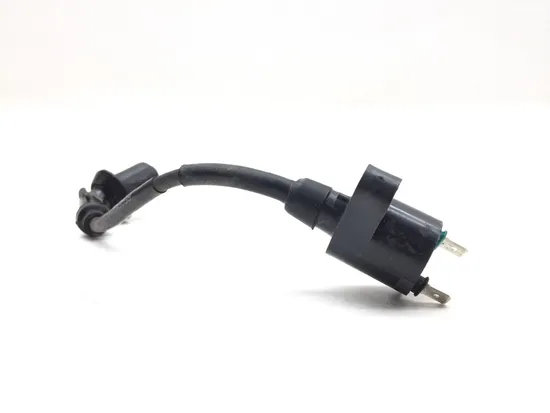 Ignition Coil 2006 Honda Sportrax 300 TRX 300EX 2x4 3017A