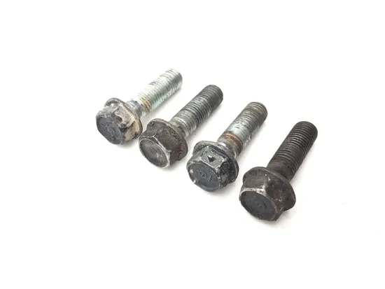 Footpeg Foot Peg Bolts 2006 Honda Sportrax 300 TRX 300EX 2x4 3017A