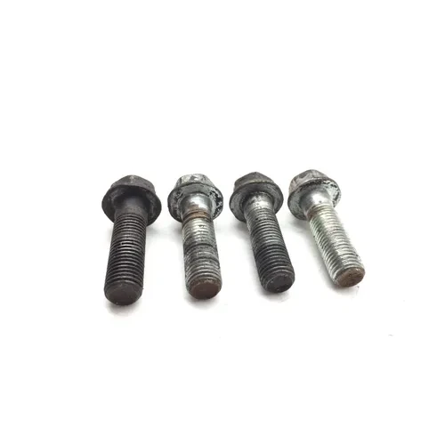 Footpeg Foot Peg Bolts 2006 Honda Sportrax 300 TRX 300EX 2x4 3017A 5