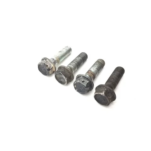 Footpeg Foot Peg Bolts 2006 Honda Sportrax 300 TRX 300EX 2x4 3017A 6