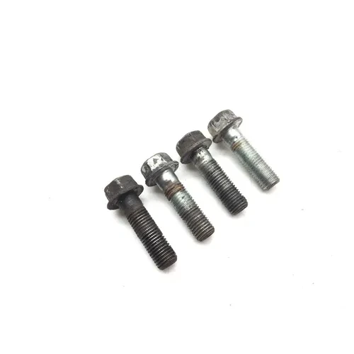 Footpeg Foot Peg Bolts 2006 Honda Sportrax 300 TRX 300EX 2x4 3017A 3